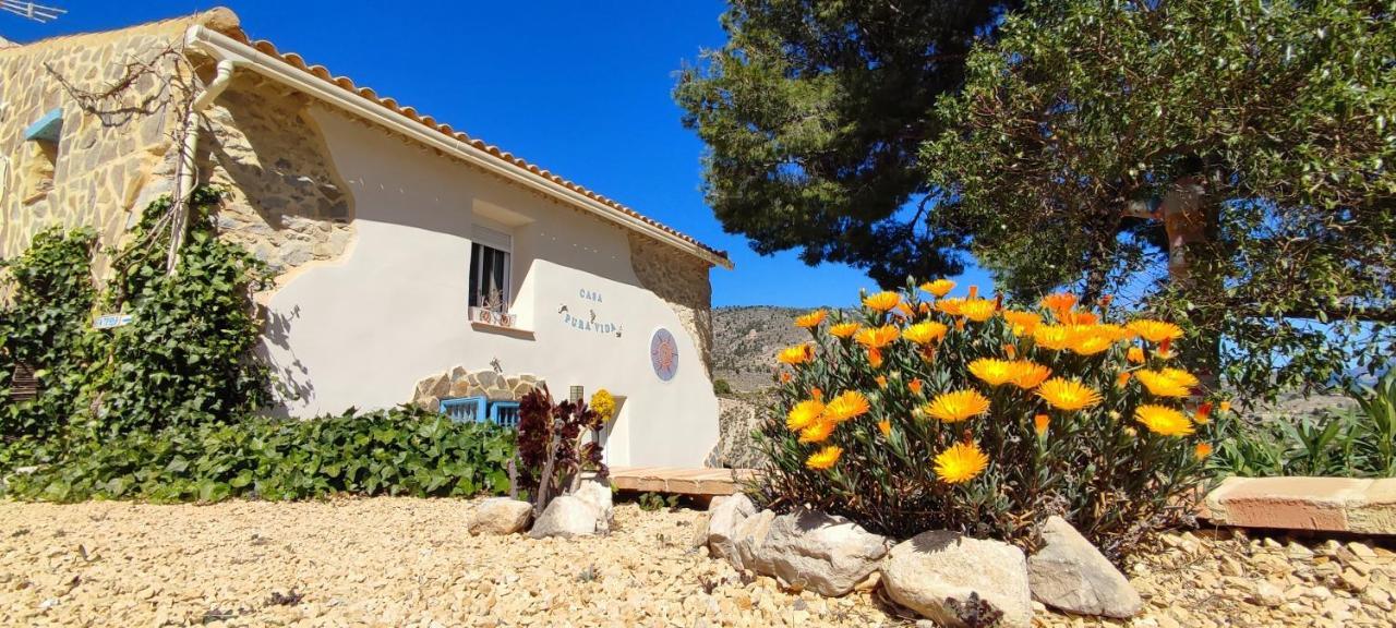 Casa Pura Vida Bed & Breakfast Relleu Exterior foto